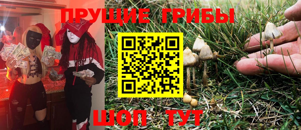 Псилоцибиновые грибы Psilocybine cubensis Щёкино