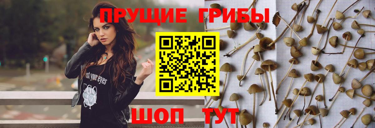 Псилоцибиновые грибы мухоморы  Вход с VPN  где купить наркоту  Щёкино 